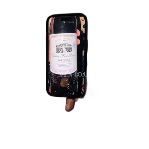 Bordeaux Bordeaux supérieur Domaine Haut-Pougnan 2022