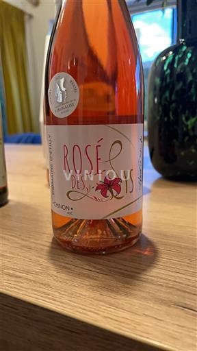 Loiren laakso Chinon Domaine Etilly Rosé des Lys 2024