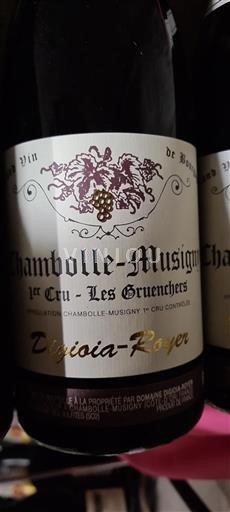 Bourgogne Ospecificerad Premier Cru Domaine Digioia-Royer Les Gruenchers Icke årgångsbetecknad