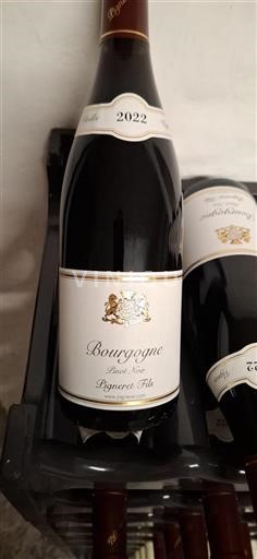 Bourgogne Pigneret Fils Vieilles Vignes 2022