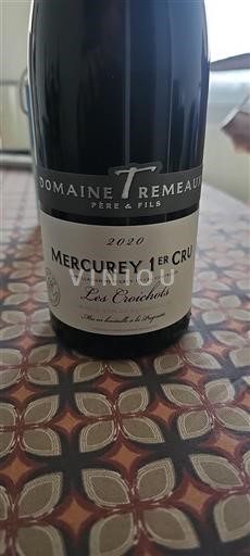Borgogna Non specificato Premier Cru Domaine Tremblay Père & Fils Les Croichots 2020