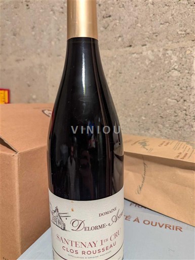 Burgundy Santenay Premier Cru Domaine Delorme-André Grand Clos Rousseau 2019