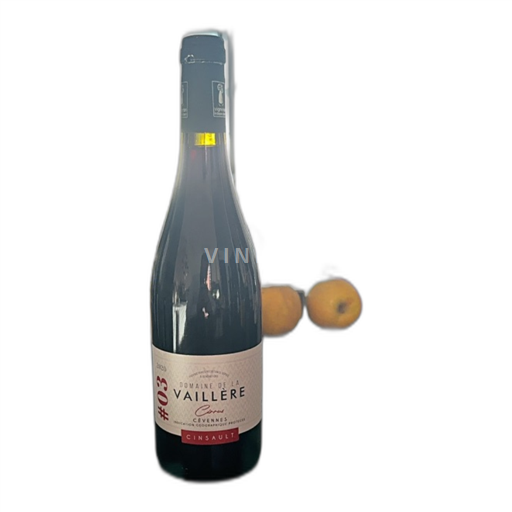 Languedoc und Roussillon Cévennen Domaine La Vaillère Cinsault Ohne Jahrgang