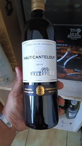Burdeos Bordeaux Château Haut-Canteloup 2019