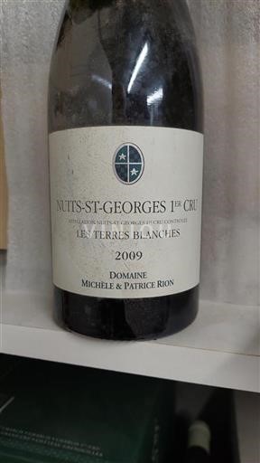 Bourgogne Ikke specificeret Premier Cru Domaine Michèle & Patrice Rion Les Terres Blanches 2009