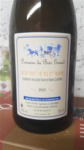 Loire-dalen Muscadet-Sèvre-et-Maine Domaine Bois Giraud 2023