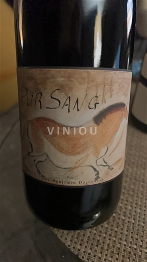 Vallée de la Loire Pouilly-fumé Didier Dagueneau Pur Sang 2016