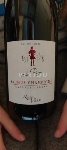 Loire-dalen Saumur-Champigny Domaine Rocheville Le Page 2023