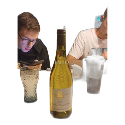 Burgundija Chablis premier cru Premier Cru CHABLIS PREMIER CRU 2022