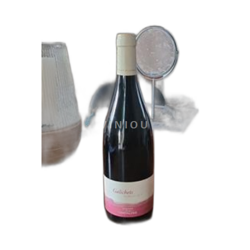 Vallée de la Loire Bourgueil Domaine La Chevalerie Galichets 2019