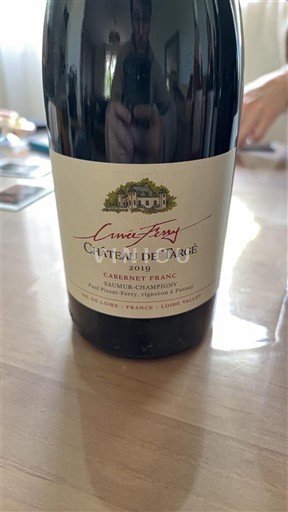 Vallée de la Loire Saumur-champigny Targé Ferré 2019