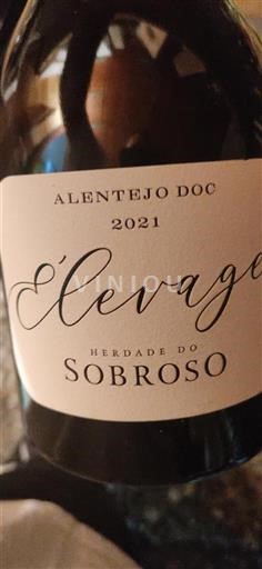 Portugal Alentejo Herdade do Sobroso Élevage 2021