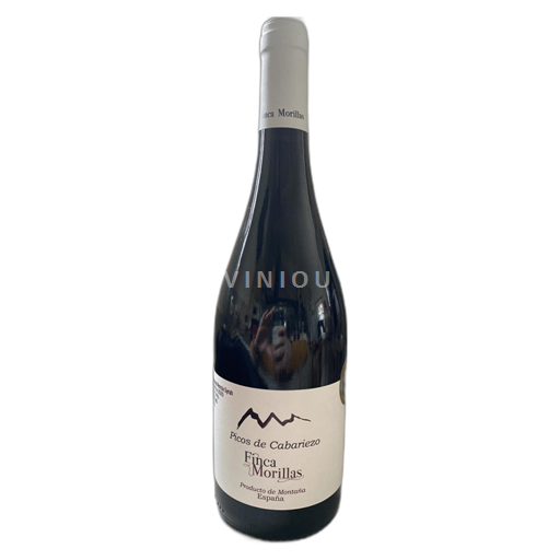 Kantabria Määrittelemätön Bodega Picos de Cabariezo 2020 Ei vuosikertaa
