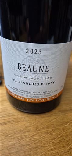 Burgundsko Beaune Tollot Beaut Les Blanches Fleurs 2023