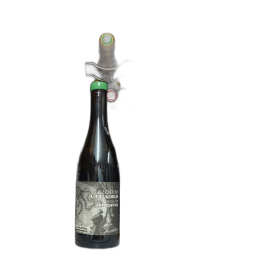 Sydväst Sudvästra Frankrike Combel la serre 20,000 LIEUES sous les MERS 2024