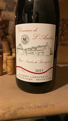 Loire-dalen Saint-Nicolas-De-Bourgueil Domaine L'Asselière 2021
