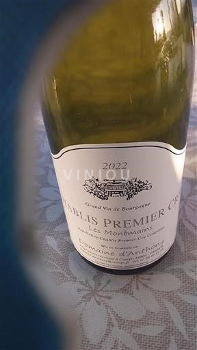 Burgund Chablis Premier Cru Premier Cru Domaine Anthony Les Montmains 2022