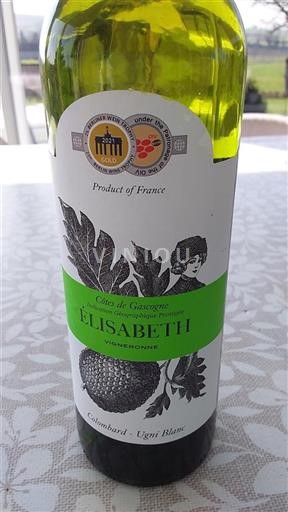 South West Côtes de Gascogne Élisabeth 2021