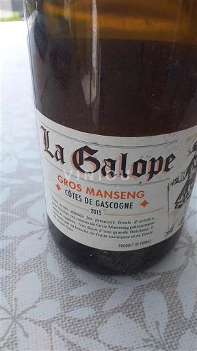 South West Côtes de Gascogne La Galope Gros Manseng 2015