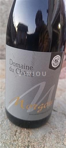 Beaujolais Morgon Domaine Chêne Ei vuosikertaa