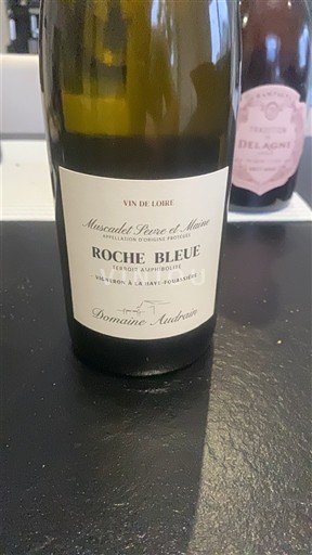 Valle della Loira Muscadet Sèvre et Maine Domaine Audrain Roche Bleue Senza annata