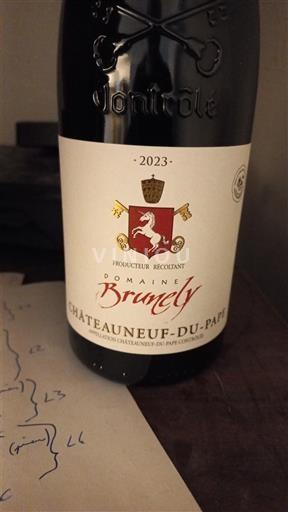 Thung lũng Rhône Châteauneuf-du-pape Domaine Brunely 2023