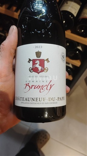 Рона Шатонеф-дю-Пап Domaine Brunely 2023
