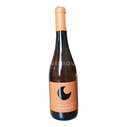 Langvedok Languedoc Clos du gravilla 2023