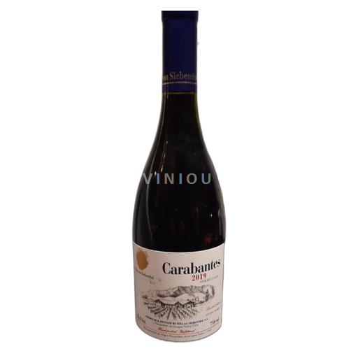 Aconcaguanlaakso Määrittelemätön Vina von Siebenthal CARABENTES 2019