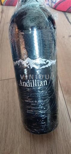 Mendoza Määrittelemätön La Coste de Los Andes Andillian 2021