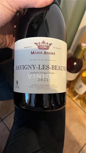 Burgund Savigny-lès-Beaune Marie André 2022