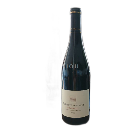 Valle della Loira Bourgueil Amirault Ernestine 2022