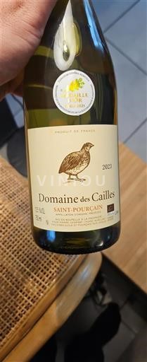 Loire Valley Saint-Pourçain Domaine Des Cailles 2023