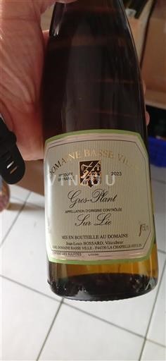 Loiredalen Gros-plant-du-pays-nantais Domaine Basse-Ville 2023