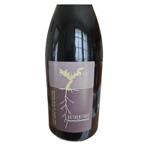 Loire Valley Saumur-Champigny Domaine Vieux Bourg Authentique 2021