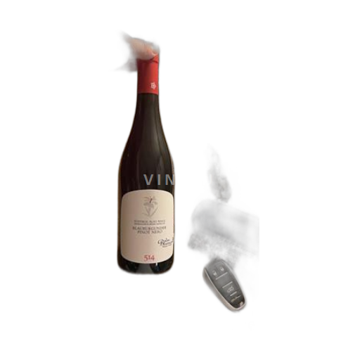 Trentino-Južna Tirolska Ni doloceno Von Blumen 514 Neleten.