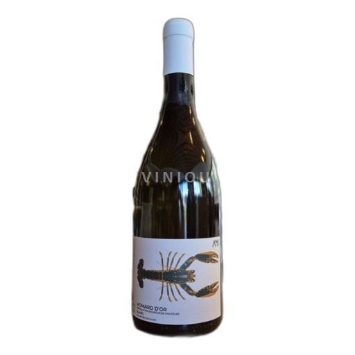 Burgundy Unspecified Ami Homard d’or 2023