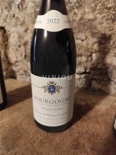 Bourgogne Domaine Pascal Lemoine 2022