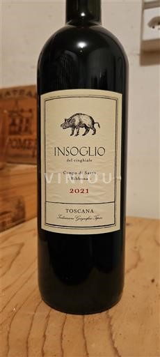 Toscana Bolgheri Campo di Sasso Insoglio del Cinghiale 2021