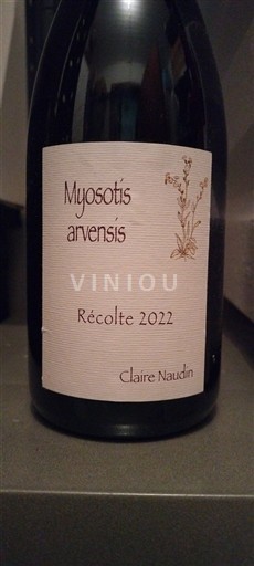 Bourgogne Claire Naudin Myosotis arvensis 2022