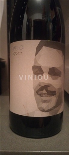 Loire Valley Montlouis-sur-Loire Vin De France Pelo Clos Des Plantes Olivier Lejeune Pelo 2021