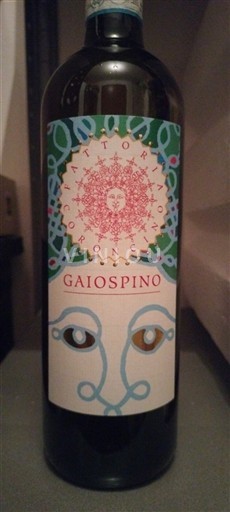 Marche Wines Verdicchio dei Castelli di Jesi Fattoria Coroncino Gaiospino 2019