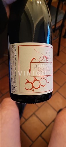 Beaujolais Jean yves sonnery Gamay petits grains 2022