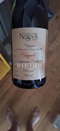 Emilia-Romagna Không được chỉ định Poderi dal Nespoli Prugneto 2023