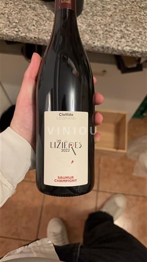 Valle della Loira Saumur-Champigny Clotilde Legrand Les Lizières 2022