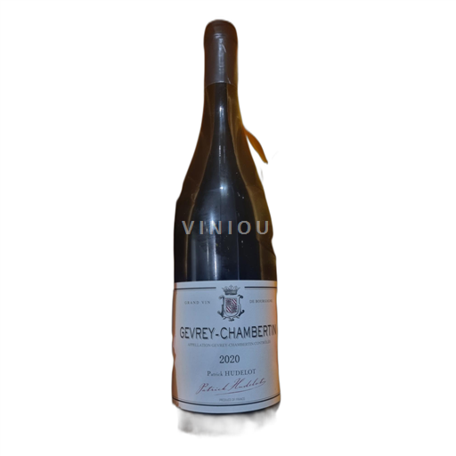 Bourgogne Gevrey-chambertin Patrick Hudelot 2020