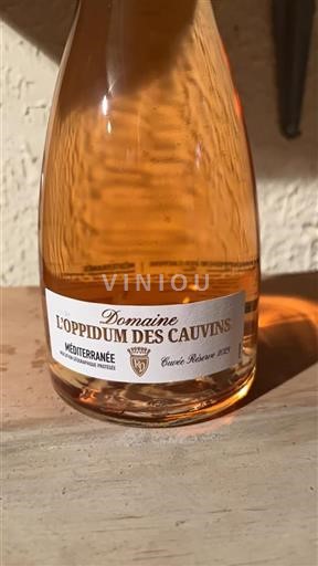 Provence, Lower Rhône Valley, Corsica Mediterranean Domaine L'Oppidum des Cau vins Réserve 2023