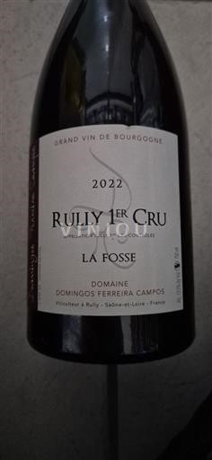 Burgundsko Nespecifikováno Premier Cru Domaine Domingos Ferreira Campos La Fosse 2022