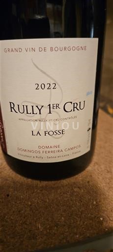 Burgund Ikke spesifisert Premier Cru Domaine Domingos Ferreira Campos La Fosse 2022