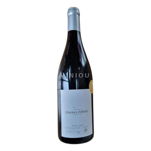 Východní regiony Coteaux de Coiffy Domaine Florence Pelletier de Nos Aïeux - Pergame 2020